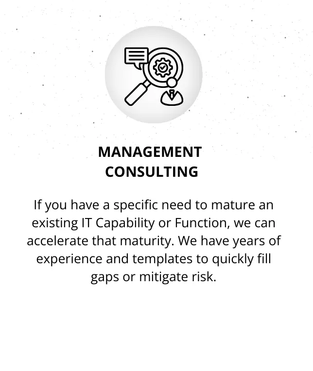 Management Consulting